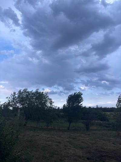 The image depicts an outdoor scene with a cloudy sky and a rural landscape. In the foreground, dry grass and some scattered branches are visible on the ground. A fence runs horizontally across the middle ground, behind which are various trees and shrubs. Some of the trees are denser and darker, while others appear thinner and wind-blown. The sky is filled with a mix of dark gray and lighter blue clouds, suggesting overcast or impending weather. The overall impression is a quiet, natural setting in a rural area, possibly indicating the outskirts of Жібек жолы ауылдық округі, Kazakhstan, given the context. No people or specific actions are depicted.