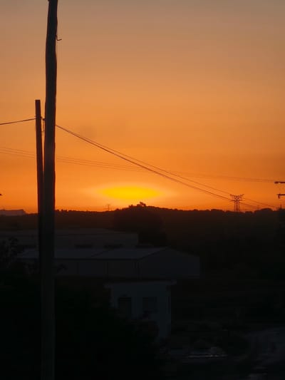 This image captures a sunset over Riba-roja de Túria, Spain. A large, dark utility pole dominates the left side of the frame, with thinner wires strung between it and other unseen points. Beyond the pole, a silhouette of a tree-lined ridge stretches across the middle ground, with a distinctive power pylon visible on the right side of the ridge. On the ridge's crest, a small cluster of shapes, possibly trees or structures, are silhouetted against the bright sunset. In the foreground, the dark silhouettes of buildings, including a long, low structure with a lighter roofline and a smaller, distinct building with windows, are visible. The sky is a vibrant gradient of orange and yellow, indicating the sun is low on the horizon. The overall scene is one of industrial or semi-urban landscape bathed in the warm light of dusk.