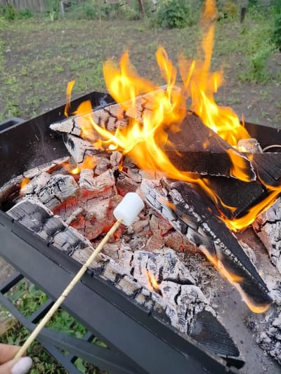 A marshmallow is being roasted over an open fire in a barbecue pit. The fire is made of logs and embers, with bright orange flames licking upwards. A single white marshmallow on a skewer is held close to the flames, ready to be toasted. The barbecue pit is black metal and sits on a grate. In the background, there is a yard with green grass and a wooden fence. The lighting suggests it is either early morning or late evening. The scene evokes a sense of outdoor recreation and enjoyment. No visible text is present in the image.