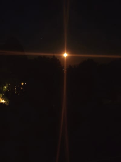 The image depicts a nighttime scene in Passignano sul Trasimeno, Italy. A bright light source, possibly a streetlight or a strong lamp, is visible in the center of the frame, casting a long, vertical flare and a horizontal beam across the dark landscape. Silhouetted trees and foliage frame the lower portion of the image. In the distance, faint artificial lights suggest the presence of buildings or infrastructure within the town. The overall atmosphere is dark and quiet, with the intense light being the primary point of visual interest.