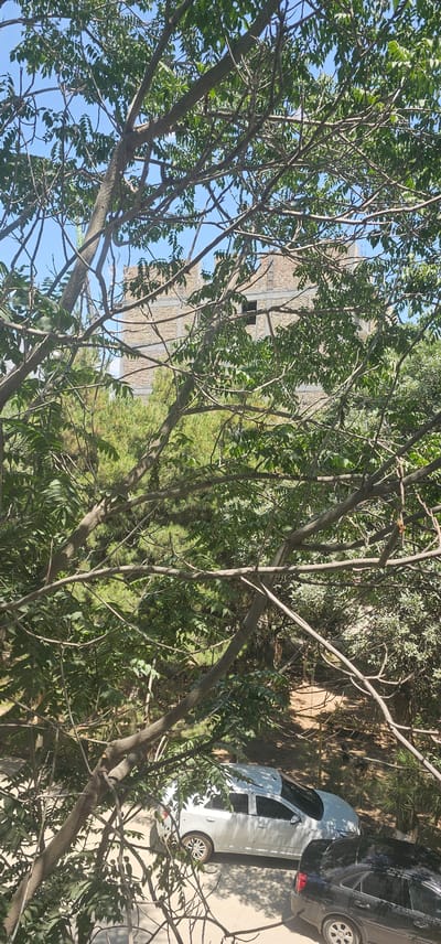 The image depicts a view through a dense canopy of green leaves and branches, obscuring a construction site in the background and two parked cars in the foreground. The construction site appears to be a multi-story building made of brick, with concrete beams visible at various levels. The building seems to be in an unfinished state, with some window openings present. In the lower portion of the image, a white hatchback car and a black sedan are parked side-by-side on a paved surface. The environment suggests an urban or suburban setting, possibly in Karshi City, Uzbekistan, given the architectural style of the building under construction and the presence of vehicles typical in the region. The lighting indicates it is daytime, with sunlight filtering through the foliage.