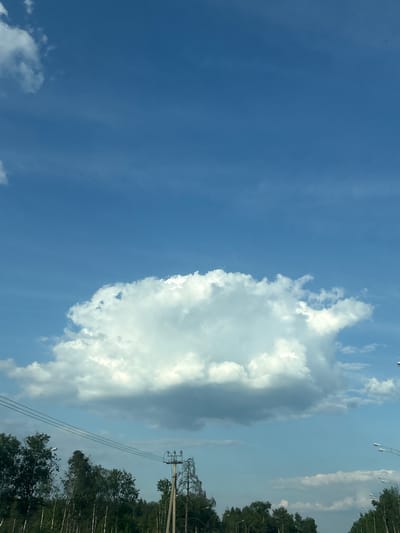 The image depicts an outdoor environment in Yoksolovo, Russia, under a bright daytime sky. The upper two-thirds of the frame are dominated by a clear blue sky, featuring a prominent, large, fluffy white cumulus cloud centered in the mid-ground. Smaller, thinner cloud formations are visible in the upper left and right, and some darker, flatter clouds appear near the horizon on the right.
The lower third of the image shows a dense line of green deciduous trees, including several birch trees with their characteristic white bark, forming a forest edge or roadside vegetation. Multiple parallel power lines traverse horizontally across the mid-section, supported by at least one concrete utility pole equipped with insulators, positioned towards the center-right. Numerous streetlights, featuring double arms, are visible among the trees and receding into the distance along what appears to be a road or highway on both the left and right sides of the frame. No human figures, animals, or vehicles are present.