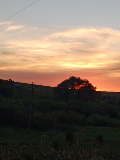 A sunset scene captured from a slightly elevated position overlooks a landscape with a prominent tree silhouetted against the horizon. The sky displays a gradient of colors, transitioning from a pale blue at the top to soft oranges and pinks near the horizon, indicative of twilight. Wispy clouds are scattered across the sky. Below the sky, dark green foliage covers rolling hills, with the distinct silhouette of a large tree in the mid-ground. A utility pole with wires is visible to the left of the tree. The overall impression is one of a rural or semi-rural setting at dusk.