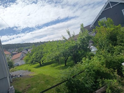 An outdoor, eye-level, medium shot captures a residential yard with fruit trees and a dark, wooden house under a partly cloudy sky. The scene is viewed from a slightly elevated position, looking down and to the right.
In the foreground, to the left, a section of a gray, textured wall is visible. Below it, there are stacks of grey bricks and two white buckets. A thin, dark wire runs diagonally from the upper left corner towards the center of the image.
The midground features a neatly mowed green lawn with several mature trees, appearing to be fruit trees due to their branch structure. The trees are full of green leaves. To the left of the lawn, a light-colored house with an orange-tiled roof is visible. A light blue sedan is parked in front of a garage door. Beyond this house, more houses with orange and dark gray roofs are nestled among trees on a hillside.
The background is dominated by a dense forest that covers a hillside. The sky above is a bright blue, streaked with long, wispy white clouds.
The overall impression is a peaceful suburban or rural setting during daytime. The specific location is identified as being in Drammen, Norway.