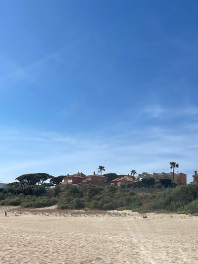 A sideways outdoor shot shows a sandy beach adjacent to a cliff with houses and palm trees. The beach occupies the right side of the image, with the cliff covered in trees and bushes separating it from the houses, which are primarily light brown with terracotta roofs. Several palm trees are interspersed among the houses. In the lower right corner of the image, two people are visible walking on the sand near the vegetation. A yellow object, possibly a surfboard, is next to them. The sky is a clear blue with some wispy clouds. Based on the architecture and vegetation, the location is likely the city of El Puerto de Santa María in Spain.