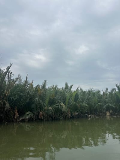A narrow river or canal is lined with dense tropical vegetation, likely palm trees, along one bank. The foliage casts a reflection on the murky green water. The sky is overcast with a blanket of gray clouds. The image is oriented sideways, giving a distinct vertical perspective. The stillness of the water suggests a calm, humid environment.