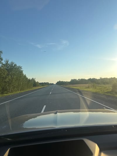 The image depicts a straight asphalt road viewed from the interior of a vehicle, looking forward through the windshield. The scene is set in Tatarsk, Russia, during what appears to be either late afternoon or early morning, indicated by the low sun casting a warm glow on the right side of the frame and subtle reflections on the vehicle's hood.
The road features two lanes, one in each direction, separated by broken white lines and bordered by solid white lines along the shoulders. To the left, a dense line of deciduous trees forms a forest edge, closely paralleling the road. To the right, a wider grassy verge transitions into an open field, beyond which another line of trees is visible in the distance. The sky above is largely clear, a light blue, with a few faint, wispy clouds. A single bird with wings outstretched is visible in flight in the upper left portion of the sky. The hood of the vehicle and a section of the dashboard are visible at the bottom of the image, showing reflections of the sky and environment. No individuals are explicitly visible.