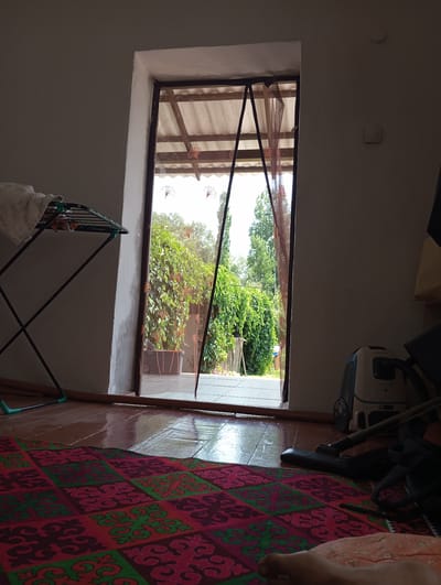 The image depicts the interior of a room looking out through an open doorway into a garden. The floor is made of wooden planks and is partially wet, reflecting light. A colorful rug with a patterned design is laid out on the floor in the foreground. To the left, a clothes drying rack with a white towel draped over it is visible. In the background, lush green foliage and trees can be seen outside the doorway. On the right side of the room, a vacuum cleaner is positioned near the doorway. The doorway itself is framed by white plaster and has a sheer, orange-tinted curtain with a decorative pattern. The overall scene suggests a domestic setting, likely a residential house in Novonikolaevka, Kyrgyzstan, given the context. The lighting suggests it is daytime. No people are clearly visible, though a foot is visible at the very bottom right corner of the frame.
