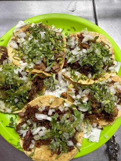 This image shows a close-up, top-down view of a bright green plastic plate filled with several tacos. The tacos are arranged in a cluster on the plate. Each taco features a corn tortilla, generously filled with dark, shredded meat. The meat is topped with a generous amount of finely chopped white onion and fresh cilantro. Some of the tacos also have a drizzle of a bright green salsa, likely guacamole or a tomatillo-based salsa. White paper liners are visible underneath some of the tacos, indicating they were likely served in a restaurant or food stall. The background is a metallic surface, possibly a table or countertop, suggesting an indoor setting. The lighting appears to be neutral, with no strong shadows, and the overall impression is one of a freshly prepared, appetizing meal. The vibrant green of the plate contrasts with the earthy tones of the tacos and the metallic background. There is no visible text in the image. The context provided suggests this is likely a typical street food scene in Tizapan, Mexico, possibly during daylight hours given the bright, even lighting.