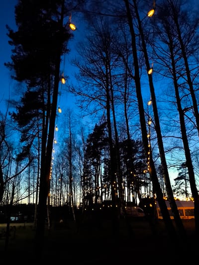 Captured at dusk in Lilaste, Latvia, the scene is an outdoor setting amid a dense forest. Tall, slender trees, many of which appear bare or with minimal foliage, dominate the foreground and background. Strings of warm-toned lights are draped vertically on some of the tree trunks, illuminating the area. In the distance, structures or tents with faintly lit interiors are visible. The sky above transitions from a deep blue at the top to a lighter hue near the horizon. The overall scene evokes a tranquil and illuminated forest atmosphere.