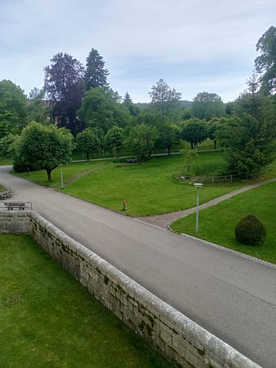 The image depicts a park area in Bellelay, Switzerland, under an overcast sky. A paved road curves through the park, bordered by a stone wall on the left and a grassy area on the right. Several trees of varying sizes and types are scattered throughout the park, with some creating a canopy over the grassy areas. A small pond with reeds is visible in the middle-right section of the park, enclosed by a wooden fence. Park benches are placed along the paved paths and in grassy clearings. A red fire hydrant is situated near the road. A solitary, well-maintained evergreen shrub stands on the right side of the road. The scene suggests a tranquil, natural setting within the town.