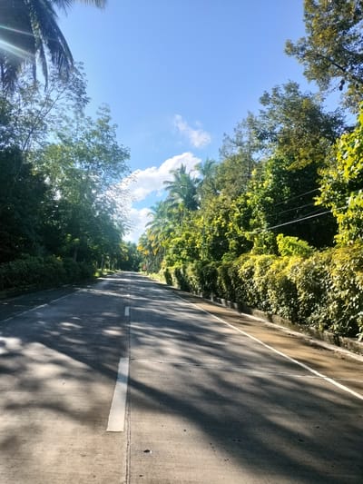 The image depicts a paved road, likely a provincial highway, lined with lush green vegetation and palm trees. The road has white lane markings. The sky is blue with some scattered white clouds, suggesting fair weather. The sun is casting shadows of the trees onto the road, indicating it's daytime. The overall scene conveys a tropical, natural environment. This road could be located in or around Kidapawan City, Philippines, a region known for its rich natural landscapes and agricultural areas, including numerous coconut plantations and forests that are consistent with the visual elements in the photograph. There are no people or vehicles visible in the image. The road appears well-maintained.