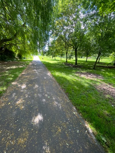 The image shows a paved pathway in a park with lush green grass and trees. The pathway, covered with scattered yellow leaves and twigs, curves into the distance towards a bright, sunlit area. Overhanging willow branches frame the left side of the scene, their leaves dappled with sunlight. To the right, a line of deciduous trees with dense green foliage casts shadows on the grass. The environment appears serene and natural, suggesting a peaceful park setting within Nowogard, Poland, likely on a clear, sunny day. No people or specific actions are visible.