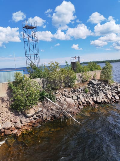 The image depicts a view of the shore at Kvartsitny, Russia, under a bright blue sky with scattered white clouds. The foreground features dark, rippling water with submerged rocks visible beneath the surface, some of which are covered in green algae. A fallen, dry tree branch extends from the rocky shore into the water. The shore itself is composed of a mix of large, angular grey and reddish-brown rocks.
Behind the rocky shore is a concrete structure, possibly a retaining wall, with several green shrubs and small trees growing on and around it. A tall, dark metal observation tower with a platform at the top stands prominently on the left side of the image, silhouetted against the sky. To the right of the tower, further back, is a shorter, cylindrical concrete structure with a metal railing at its top. A light blue building with a corrugated metal facade is visible behind the concrete wall on the far left. The background shows a calm body of water extending to a distant, tree-lined horizon. There are no people visible in the image.