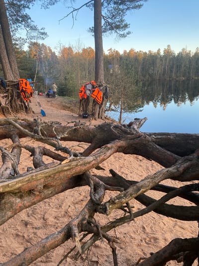 The image depicts an outdoor scene near Vyritsa, Russia. Several trees with exposed roots occupy the foreground, juxtaposed against a sandy embankment. A group of people are congregated near a small fire in the middle ground. Life jackets are draped over the roots of one of the trees. A pair of kayak paddles is visible near the life jackets, near the fire. The background shows a dense forest extending into the distance under a clear sky.