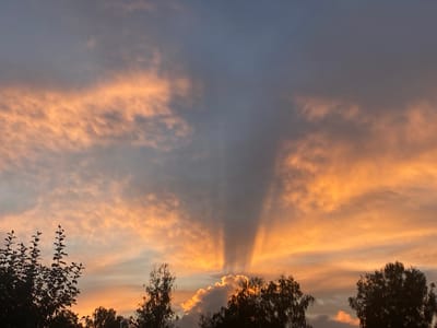 The image depicts a dramatic sunset over the city of Prokhladny, Russia. The sky is a vibrant canvas of orange, pink, and blue hues, with sunlight streaming through gaps in the clouds, creating crepuscular rays. These rays fan out from behind a dark cloud formation located in the center of the image, illuminating the surrounding clouds with a warm glow. Silhouetted against the colorful sky are the tops of several trees and foliage, characteristic of an urban or suburban landscape. The overall scene captures the natural beauty of a sunset, with the celestial display dominating the frame and a hint of the local environment visible at the bottom.