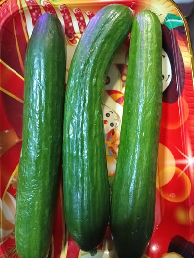 Three cucumbers are arranged vertically on a red, yellow, and white patterned tray. The cucumbers are green and appear to be fresh. The tray has a decorative pattern with what looks like cartoon characters and circles of light. The scene is indoors, with the lighting suggesting it is artificial. No specific location in Ostrov-Zalit, Russia, can be determined from the image.