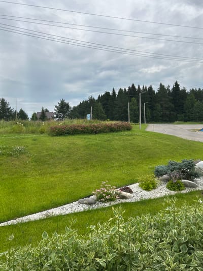 The image depicts a landscape scene with a lush green lawn in the foreground and middle ground. A winding pathway of white gravel cuts diagonally across the lawn, bordered by small plants and rocks. In the background, a dense forest of evergreen trees stands against a cloudy sky. Several power lines are visible stretched across the upper portion of the frame. Further back, a building with a dark roof is nestled amongst the trees. The overall setting suggests an outdoor area, possibly a park or a residential property in a rural or suburban environment. The image does not contain any people or visible actions. The location is identified as Kassiny, Russia.