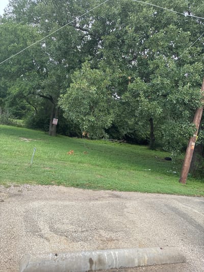 An outdoor daytime scene depicts a sloped grassy area with trees. In the foreground, a paved surface with a concrete curb is visible. A metal stake is planted in the grass on the left side of the frame. A red and white sign is attached to a tree on the left side of the image. A wooden utility pole stands on the right side of the image, with yellow tape wrapped around it. Debris, including white plastic and a black circular object, is scattered on the grass. The scene appears to be in Balch Springs, United States of America.