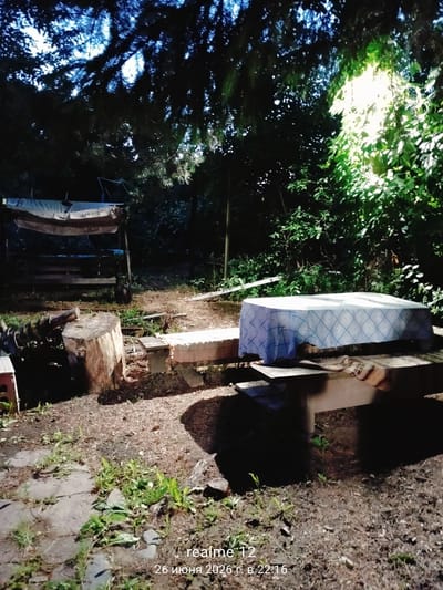 This image depicts an outdoor scene in a wooded area, likely a backyard or campsite, in Novoe, Russia. The time of day appears to be evening, given the low light and the presence of artificial illumination from the right side of the frame. The setting is rustic, with a prominent tree stump and logs in the foreground, surrounded by scattered wood chips and some greenery.
In the mid-ground, a picnic table is covered with a blue and white checkered tablecloth, suggesting a recent meal or preparation for one. To the left, a rustic wooden structure, possibly a bench or a canopy, is visible. The background is filled with dense foliage and trees, with a bright light source illuminating the leaves on the right, creating a dappled effect. The overall atmosphere is tranquil and natural, with a hint of a cozy outdoor gathering.
Visible text in the lower right corner reads "realme 12" followed by a date and time in Russian: "26 июня 2026 г. в 22:16" (June 26, 2026 at 10:16 PM). This indicates the device used to capture the photo and the date/time it was taken. There are no people visible in the image. The weather appears to be clear, suitable for outdoor activities.