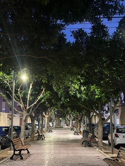 The image depicts an urban promenade in Alcàsser, Spain, at dusk or early night. The scene is illuminated by artificial streetlights, casting a warm glow on the foliage and pavement.

A wide, paved walkway, constructed from interlocking light-colored and reddish-brown tiles, extends centrally into the distant perspective. Numerous public benches, each featuring wooden slats and dark metal frames, are positioned along both sides of the promenade; at least five are clearly visible and unoccupied. Mature trees with dense green canopies line the promenade, forming an overhead archway and partially obscuring the deep blue twilight sky. Some tree trunks exhibit evidence of recent pruning.

On the left side of the promenade, a dark-colored vehicle is parked in the immediate foreground, followed by a series of silver/grey cars. Behind these vehicles, multi-story buildings are partially visible. A bright streetlight on a metal pole stands prominently in the mid-left, emitting a strong light with noticeable lens flare.

On the right side, a white vehicle is parked in the middle ground, preceded and followed by other cars. Beyond these vehicles, residential or commercial structures are also partially discernible. A utility pole and overhead wires are visible through the tree canopy in the upper right. A circular blue regulatory sign is partially visible on the right, near a utility pole, and lettering "GOU" is discernible on a building facade further down the street.

The scene is devoid of human presence or overt activity, presenting a quiet, illuminated urban pathway.
