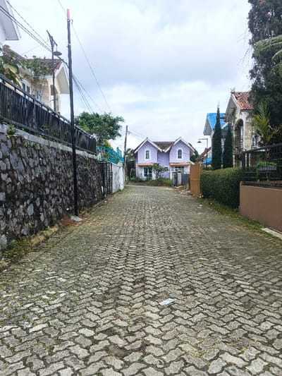 The image depicts a static, residential street scene in Pô Kô, Vietnam, under an overcast sky. The foreground is dominated by a grey interlocking paver road, laid in a herringbone pattern, with sparse green vegetation emerging between the blocks. A small piece of white and blue litter rests on the road in the center-right.

On the left, a multi-tiered stone retaining wall, constructed from dark, irregular stones, supports an elevated section of land. Above this wall, a black metal fence or railing is visible, behind which a portion of a light-colored house with a brown tiled roof is present. A black utility pole stands vertically in the left midground, supporting multiple overhead power lines that extend across the frame.

In the midground-center, directly ahead, a lavender-colored house with a dark roof and two prominent arched white-framed windows on its upper floor is the focal point. To its immediate right, a brown wooden fence section is visible.

On the right side of the road, a neatly trimmed green hedge runs along a low, brown retaining wall. Beyond the hedge, a house with a blue-tiled roof and white facade stands, flanked by two tall, slender evergreen trees. Further right, another house with an ornate, light-colored facade and an orange-tiled roof is partially visible. The scene is devoid of people or moving objects.