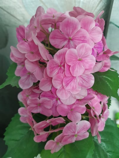 The image shows a close-up view of a cluster of artificial pink hydrangea flowers. The flowers have five petals each and are arranged in a dense ball shape. Green artificial leaves are visible at the bottom and on the right side of the arrangement. The background is blurred and appears to be a light-colored curtain or sheer fabric, with some darker elements suggesting a shelf or other objects in the distance. There is no indication of the city of Kuyagan, Russia, or any people or specific actions within the image. The scene is static and focuses solely on the floral arrangement.