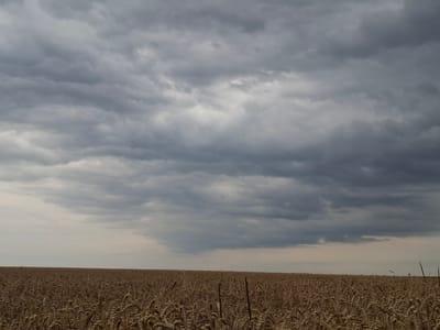 The image shows a wide, golden field of wheat stretching to the horizon under a dramatic sky filled with dark, heavy clouds. The wheat stalks are dense and appear to be ripe or nearly ripe for harvest, displaying a uniform brown-gold color. The sky is predominantly overcast with various shades of gray, suggesting an impending storm or the aftermath of one. The horizon line is sharply defined, separating the textured field from the turbulent sky. There are no people or visible structures in the scene. The overall impression is one of natural, agricultural landscape under a brooding sky. The provided context suggests this scene is located in Topaly, Ukraine.