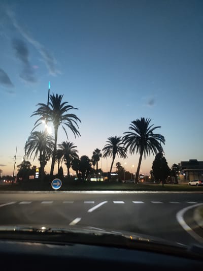 The image depicts a street scene at dusk in Canet-en-Roussillon, France, likely near a roundabout given the road markings. Several palm trees are silhouetted against a twilight sky that transitions from a pale orange hue near the horizon to a deep blue overhead. A blue circular traffic sign with a white arrow pointing to the right is visible on the median. In the background, there are some buildings, streetlights, and illuminated signs, including what appears to be a McDonald's sign. The perspective suggests the photo was taken from inside a vehicle, looking out through the windshield, with the dashboard visible in the foreground. The sky contains some faint clouds. The overall impression is an urban or suburban environment at the end of the day, with artificial lights beginning to dominate the fading natural light.