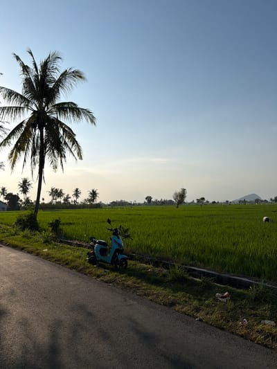 In the city of Jatisari, Indonesia, a tranquil scene unfolds at the edge of a lush green rice field under a clear blue sky. The foreground features a paved road casting long shadows, suggesting late afternoon sunlight. To the left, a tall coconut palm tree stands sentinel, its fronds swaying gently. Beside the road, a light blue electric scooter is parked on the grassy verge. Beyond the scooter, the expansive rice field stretches into the distance, its vibrant green a testament to the fertile landscape. In the far distance, a gentle mountain peak punctuates the horizon. A single figure, a farmer, can be seen tending to the field. The environment is serene, with evidence of human activity in the form of the road and the scooter, but the dominant impression is one of natural beauty and agricultural productivity.