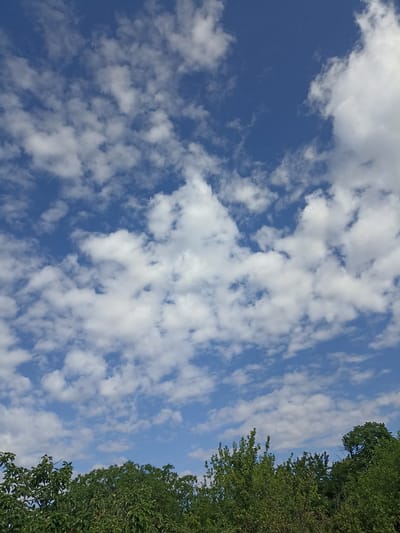 The image shows a clear blue sky filled with scattered white cumulus clouds, typical of a fair weather day. The lower portion of the image is dominated by the tops of lush green trees, suggesting a natural or park-like setting. There are no people or man-made structures visible. The scene appears to be an outdoor landscape. The image does not provide any information that would allow for the identification of its location within the city of Malgobek, Russia.