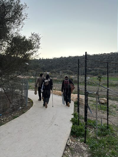 Three individuals walk away from the camera on a concrete path in the Emek Izrael Regional Council, Israel. The path is bordered by a wire mesh fence on the left and a post-and-wire fence on the right. A large, multi-branched tree occupies the left foreground.
The first individual, positioned left, wears a light brown top and dark pants, carrying a light-colored bag over his left shoulder with a long object visible. The central individual wears a dark hooded sweatshirt with a white graphic, dark pants, and uses a single crutch on his right side. A small dark pouch is at his waist, and a flat, long object is carried on his left. The third individual, on the right, wears dark clothing, a dark backpack with red accents, and carries a rolled-up, textured brown item under his left arm, along with a flat, reflective object in his right hand.
The background features cultivated fields, olive trees, and densely forested hills with scattered white residential buildings. The sky is a pale blue-grey. The scene depicts a rural to semi-rural outdoor setting during daylight.