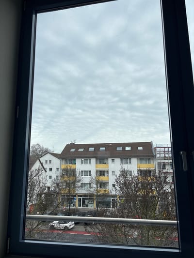 The image displays an exterior urban view in Hanau, Germany, captured through a dark-framed window. The sky is entirely overcast with a uniform layer of altocumulus clouds.

In the midground, a multi-story building with a light-colored facade, likely white or cream, and yellow balcony railings, stands across a street. This building features a reddish-brown tiled roof punctuated by at least seven dormer windows or skylights. The ground floor consists of multiple commercial storefronts with glass exteriors, while the upper floors appear residential with windows and balconies. To the left of this building, a portion of a white residential house with a pitched roof is visible. To the right, scaffolding is erected against another building, indicating construction or renovation.

The foreground is occupied by numerous bare deciduous trees and bushes, devoid of foliage, suggesting a winter or early spring season. Below the vegetation, a two-lane asphalt road is visible, featuring a distinct red painted line. Several vehicles are parked along the street, including a white, low-profile car, possibly a sports model, adorned with dark, irregular markings, parked facing left. No individuals or dynamic actions are depicted.