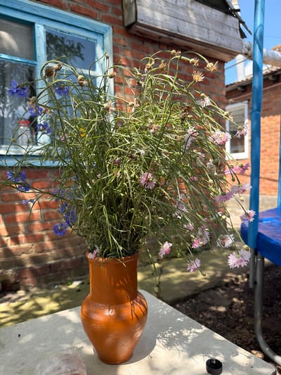 A vertical, medium shot captures a bouquet of wildflowers in a clay vase, placed on a stone table outdoors. The bouquet, predominantly green with delicate blue and pink flowers, is arranged in an orange, bulbous vase with a narrow neck. The flowers are wilting, with some heads dried and seed-bearing. Behind the vase, a brick building with a blue-trimmed window is visible. To the right, a blue metal structure, possibly part of a playground or outdoor furniture, stands against a backdrop of more brick buildings and a clear sky. Shadows from the bouquet and the building are cast across the table, indicating a sunny day. The image appears to be taken in the city of Komsomolskiy, Russia, given the architectural style and rural setting. There are no people visible in the scene.