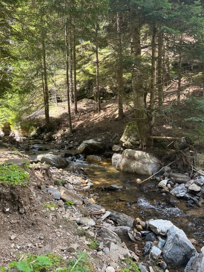 The image depicts a stream in a forested area in the vicinity of Drianovo, Bulgaria. The stream is flowing through a rocky streambed. Large boulders are visible. The surrounding area consists of trees. The lighting suggests that it is daytime with sunlight filtering through the trees. There are no people visible in the image.