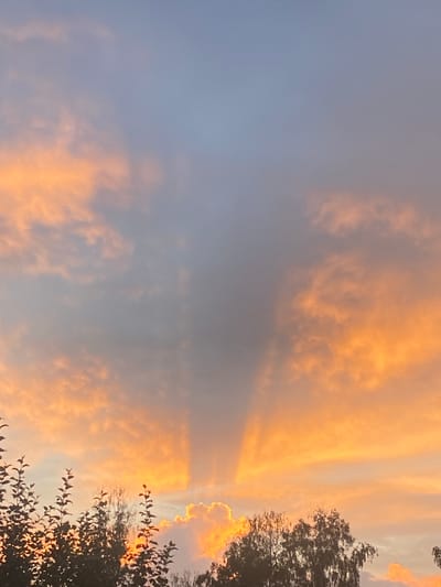 The image shows a sky at sunset with dramatic crepuscular rays illuminating the clouds. The colors range from soft blues and grays in the upper sky to vibrant oranges and yellows where the sun's light breaks through. Silhouettes of trees line the bottom of the frame, creating a dark contrast against the illuminated sky. The scene is consistent with a sunset observed from an open area within the city of Prokhladny, Russia, likely in a park or near the outskirts where trees are visible. There are no people or specific man-made structures clearly identifiable, focusing the scene entirely on the natural phenomenon of the sunset and the landscape elements.