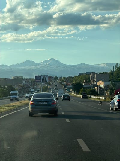 The image depicts a highway leading towards snow-capped mountains, with a scattering of buildings and billboards lining the sides of the road. The sky is filled with dramatic, cloudy formations. Several vehicles are visible on the highway, including a dark gray Skoda Octavia in the foreground with the license plate "37 ET 309". A lean dog is seen running across the highway in the middle distance. The environment suggests a semi-urban or suburban setting in Armenia, likely on the road leading to or from Proshyan, given the prominent billboards that may advertise local services or events. The lighting indicates it is either early morning or late afternoon.