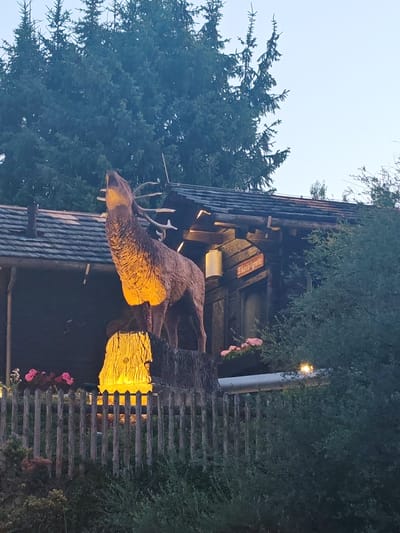 The image depicts a wooden sculpture of a stag with its head raised, illuminated by warm light. The stag stands on a wooden stump, which is also brightly lit. Behind the sculpture is a rustic wooden building with a dark, shingled roof. A sign on the building reads "Eisenschlucht." A wooden fence runs across the foreground, with green bushes and some pink flowers behind it. In the background, tall evergreen trees are visible against a pale sky. The scene appears to be an exterior view, possibly a themed attraction or a garden feature, located in the town of Schwangau, Germany.