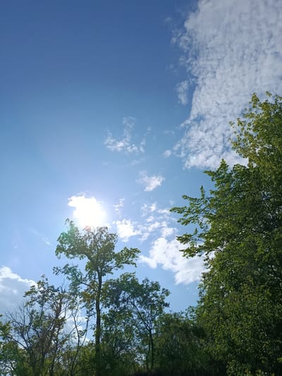 A sunny day in Voskresensky District, Russia, is depicted with a clear blue sky dotted with fluffy white clouds. The sun is bright, casting a lens flare and partially obscured by the canopy of lush green trees. The trees, with their dense foliage, frame the bottom and right side of the image, creating a natural border against the expansive sky. Some bare branches are visible among the foliage, suggesting a mix of tree types or seasonal changes. There are no people or animals visible in the scene. The overall impression is one of a peaceful, natural setting on a bright summer day.