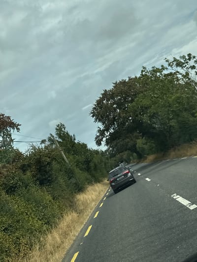 A dark-colored SUV is driving on a two-lane road through a rural landscape. The road has yellow and white lane markings. The car has its license plate visible, which reads "201-D-611". The surrounding environment is characterized by lush green trees and vegetation, with dry grass along the side of the road. The sky is overcast with clouds. The image appears to have been taken from another vehicle, as suggested by the perspective and the motion blur. The scene suggests a driving journey through a wooded area.