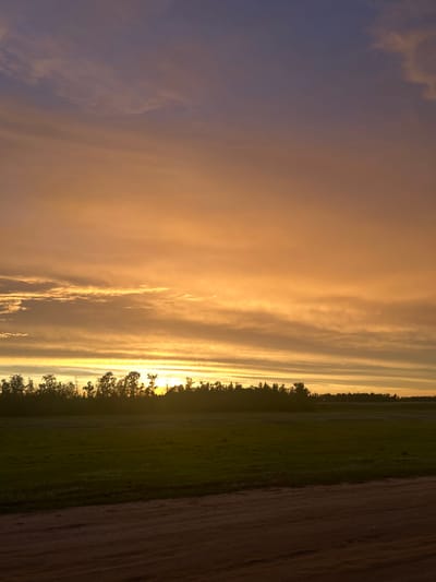 The image depicts a rural landscape at dusk, with a dirt road in the foreground and a grassy field behind it. A dense line of trees runs horizontally across the middle ground, silhouetted against a dramatic sunset sky. The sky is a gradient of warm oranges, yellows, and purples, with wispy clouds stretching across. The setting sun is not directly visible, but its light illuminates the clouds and casts a warm glow over the scene. There are no people or animals visible in the image. The environment appears to be undeveloped countryside, possibly on the outskirts of a settlement. The image does not contain any elements that would allow for the precise determination of its location within Appany, Russia.