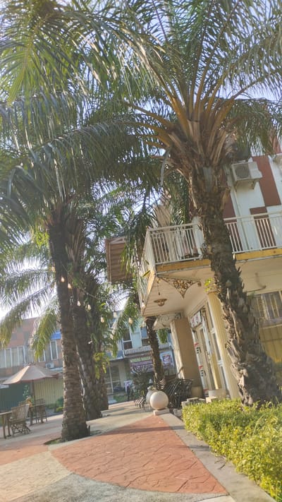 The image depicts an outdoor dining area in a city. In the foreground, a patterned paved walkway with red and beige tiles leads towards a building. Several palm trees with textured trunks line the walkway, some adorned with string lights. To the right of the walkway, a neatly trimmed green hedge runs along the path.
The building features a multi-story facade with a balcony on the second level. The building's exterior is painted with white and red stripes. An air conditioning unit is visible on the upper part of the building. The ground floor appears to house commercial establishments, with windows and doors visible. A sign with Indonesian text, "WARUNG MAKAN," indicating a food stall or restaurant, is present on one of the storefronts.
In the background, other buildings and structures are visible, suggesting a developed urban or commercial area. Some outdoor seating with tables and chairs is arranged on the left side of the walkway, with a large umbrella providing shade. A few spherical decorative objects are placed along the pathway near the building entrance. The scene is bathed in natural sunlight, creating shadows and highlighting the textures of the palm trees and pavement. The overall impression is of a pleasant, possibly dining, area in an Indonesian city.