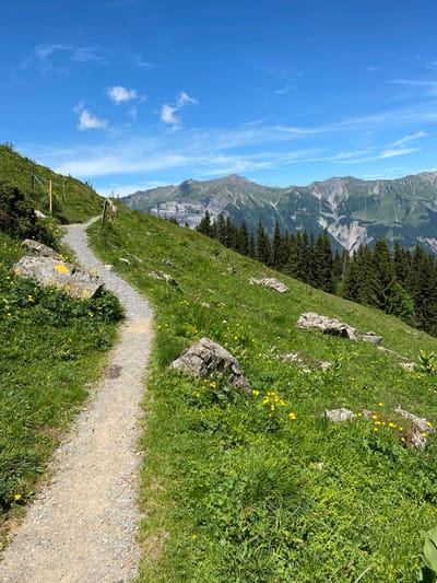 The image depicts a scenic mountain trail on a sunny day in Axalp, Switzerland. A narrow gravel path winds its way up a grassy slope dotted with yellow wildflowers and occasional rocks. A wooden fence runs along the left side of the trail, separating it from the steeper mountainside. In the background, a majestic mountain range with jagged peaks stretches across the horizon under a clear blue sky with wispy white clouds. A dense forest of evergreen trees covers the lower slopes of the mountains. The overall scene is one of natural beauty and tranquility, inviting exploration.