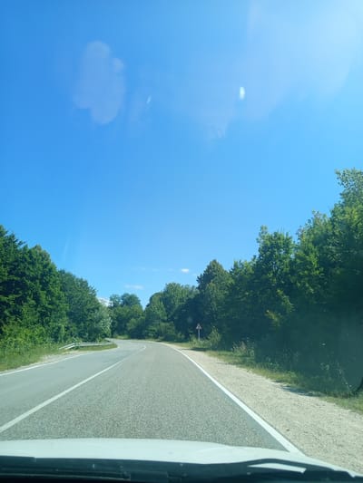This is a point-of-view photograph taken from a vehicle traveling on a paved road through a wooded area, likely in or near Giaginskaya, Russia, given the context. The road curves to the right and is bordered by a gravel shoulder and dense green trees on both sides. A white line marks the edge of the road on the right, and a broken white line divides the lanes. A triangular warning sign is visible on the left side of the road in the distance. The sky is a clear, bright blue with some light, diffuse reflections, possibly from the windshield. The scene depicts a typical rural or highway drive on a sunny day.