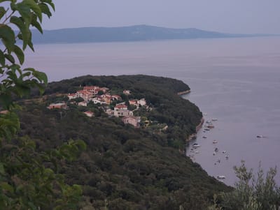 The image depicts a coastal scene in the city of Labin, Croatia, likely during dusk or dawn due to the muted lighting and calm water. The vantage point is elevated, offering a panoramic view of a peninsula jutting into the sea, densely covered with dark green foliage. Nestled within this greenery, along the crest of the peninsula, is a cluster of white and light-colored buildings with red-tiled roofs, characteristic of Mediterranean architecture. These buildings appear to be residential homes and possibly some small commercial establishments, scattered amidst the trees.
The sea surrounding the peninsula is a pale, muted blue, reflecting the overcast sky. A distant, hazy mountain range forms the horizon. Closer to the shore, numerous small boats and yachts are anchored or gently moving in the water, suggesting a harbor or a popular mooring area. Some of these vessels are white, while others are darker, creating a scattering of shapes on the water's surface. The foreground features the blurry silhouette of green leaves and branches, framing the view and adding a sense of depth. The overall atmosphere is tranquil and serene, highlighting the natural beauty of the Croatian coastline with its charming settlements.