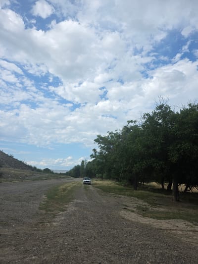 The image depicts a scenic rural landscape, oriented vertically. The sky dominates the left half of the frame, filled with a patchwork of fluffy white clouds against a bright blue expanse. To the right, a dense line of lush green trees runs along the edge of a dirt road. The road itself is gravelly and extends into the distance, appearing to curve slightly. In the middle ground, a white van is visible on the road, traveling away from the viewer.

The setting appears to be a natural, undeveloped area, possibly a countryside road or track in Azerbaijan, as suggested by the location context. The time of day seems to be daytime, with ample sunlight illuminating the scene and casting subtle shadows. The weather appears fair and pleasant, with clear skies and scattered clouds contributing to a bright, airy atmosphere. The overall impression is one of tranquility and natural beauty, characteristic of a rural environment. There is no visible text in the image.