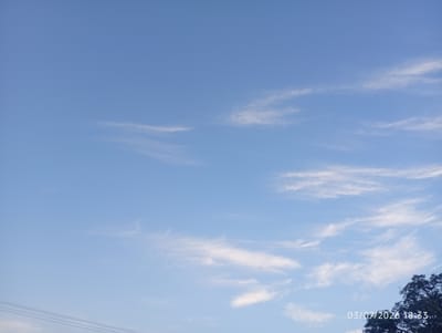 A clear, blue sky with wispy white clouds stretches across the frame. In the bottom right corner, the dark, leafy branches of a tree are visible. Overlayed on the image, in white text, is the date and time "03/07/2025 18:33". In the bottom left, faint horizontal lines suggest power or telephone wires. The scene is likely outdoors in an area with some foliage and infrastructure.