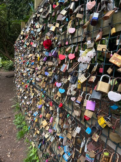 A close-up shot of a "love lock" bridge or fence filled with padlocks of various shapes, sizes, and colors. The locks are attached to a wire mesh fence that appears to be attached to a wooden structure. Some locks have names, dates, or messages inscribed on them. There are also some artificial flowers. The environment includes greenery visible behind and below the fence, with a pathway beneath the fence. The location is Thornliebank, United Kingdom.