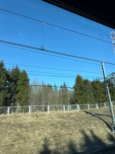 The image presents an exterior scene captured from a window, likely of a train, depicting a railway environment under a clear blue sky in Borok, Russia. Overhead, multiple dark-colored electrical power lines and a catenary system, including insulators and a tensioning device, traverse the frame. A tall, lattice-style cellular communication tower is visible on the far right against the sky, adjacent to a robust metallic support structure for the railway's electrification system. The mid-ground reveals a dense treeline composed of dark green coniferous trees interspersed with leafless deciduous trees with light-colored bark. Below the trees, a white metal mesh fence, segmented by vertical posts, runs horizontally across the scene. The foreground consists of a gently sloped embankment covered entirely in dormant, dry, light brown vegetation. A section of railway track, ballasted with gravel, is visible in the bottom right corner. Strong sunlight illuminates the scene, casting shadows from the overhead lines and support structures onto the embankment and the window's surface. No individuals, actions, or direct interactions are depicted.