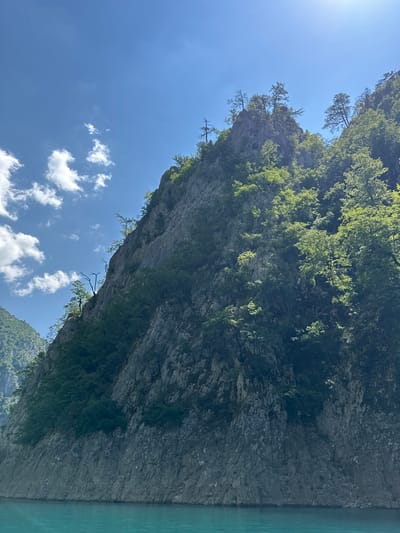 The image depicts a steep, rocky mountainside covered in lush green vegetation, rising dramatically from a calm, turquoise body of water. The sky above is a clear blue with scattered white clouds, and the sun casts a bright glare in the upper right corner. The mountains are rugged and appear to be composed of large stone formations. Trees and shrubs cling to the rocky slopes, with some larger trees, some bare of leaves, growing on the very summit of the peaks. The water in the foreground is a vibrant blue-green, reflecting the sky and surrounding landscape. This scene is located in the city of Bezuje, Montenegro.